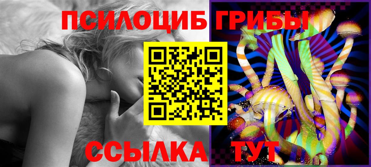 Кировск  Галлюциногенные грибы Psilocybine cubensis  купить закладку  Вход с VPN 